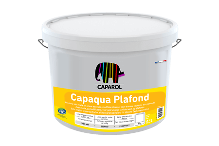 capaqua plafond capaqua-pladond-peintura